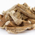Proskurník Althaea Officinalis 2
