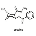 Kokain Benzoilmetilecgonina 2