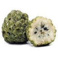 Hraběcí ovoce Annona Squamosa 2