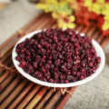 Čínská magnólie Schisandra Chinensis 2