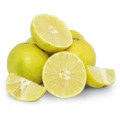 Palestinian Sweet Lime Citrus Limettioides 2