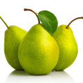 Green Pear Pyrus Bartlett 2