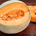Cantaloupe Cucumis Melo Var. Cantalupensis 2