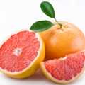 Grapefruit Peel Citrus x Paradisi 2