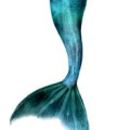 Siren  2