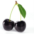 Black Cherry Eugenia Candolleana 2