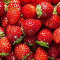 Little Doll Strawberry  2
