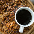 Kopi Luwak Coffee  2