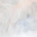 Tonalide® CAS number 1506-02-1 2
