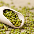 Mung Bean Vigna radiata 2