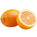 Rangpur Citrus Bigaradia 2