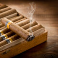 Cuban Cigar  2