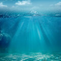 Thalassogaia™  2