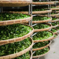 Lishan Tea  2