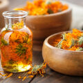 Calendula Calendula Officinalis 2