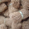 Vetiver Vetiveria Zizanoid 2