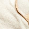 Cukr Saccharum Officinarum 2
