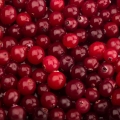 Brusinky Vaccinium 2