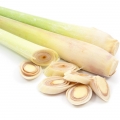 Citronová tráva Cymbopogon 2