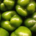 Zelená paprika Capsicum annuum 2