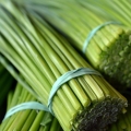 Palmarosa (palma růžová) Cymbopogon martinii 2