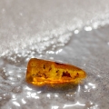 Jantar (ambra) Ambra grisea 2