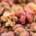 Japonský pepř Zanthoxylum Piperitum 2