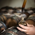 Ocet balsamico  2