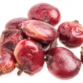 Škumpa Sumac 2