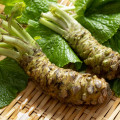 Wasabi Eutrema japonicum 2