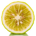 Bergamot Citrus bergamia 2
