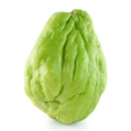 Čajot Sechium Edule 2