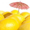 Yuzu Citrus junos 2