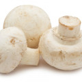 Houby Agaricus Bisporus 2