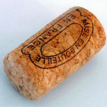 Korek Quercus suber 2