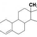 SP3 Carbon  3