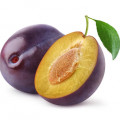 Clarycet  3