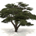 Timbersilk™  3