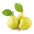 Zelené hrušky Anjou Pyrus Communis 'D'Anjou 3