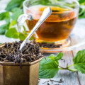 Assam Tea Camellia Sinensis var. Assamica 3