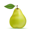 Green Pear Pyrus Bartlett 3