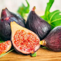 Fig Blossom Ficus Carica 3