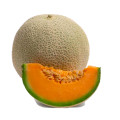 Cantaloupe Cucumis Melo Var. Cantalupensis 3