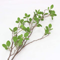 Green Branches  3
