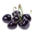 Black Cherry Eugenia Candolleana 3
