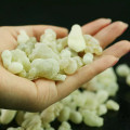 Olibanum Sacra Resin Green Boswellia Carterii 3