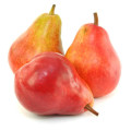 Williams Pear Pyrus Communis 'Williams' 3