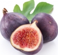 Fíkový list Ficus carica (Moraceae) 3
