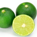 Sudachi citrus Citrus sudachi 3