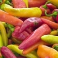 Jamajský pepř Capsicum 3